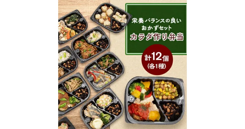 【ふるさと納税】たんぱく質21.5g以上、脂質10.5g以下カラダ作り弁当　12個入りセット(12種)【配送不可地域：離島】【1499473】