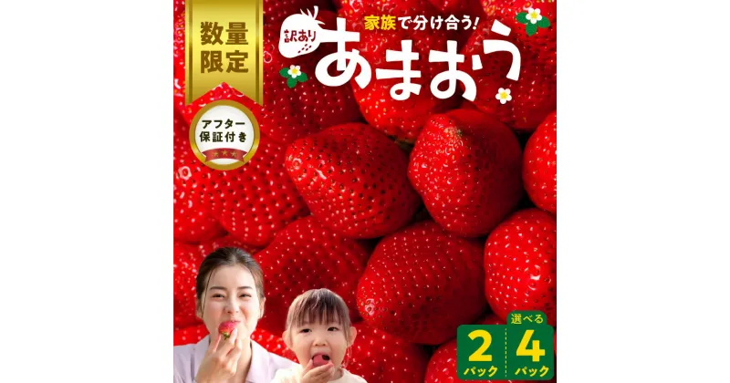 【ふるさと納税】【訳あり 数量限定】 あまおう 270g 選べる 2パック 4パック 国産 福岡県産 ブランドいちご 食べ方いろいろ 甘い 果物 フルーツ ストロベリー 苺 エコファーマー認定農家 お取り寄せ スイーツ デザート ファミリー 家庭用 国産 福岡県 久留米市 送料無料