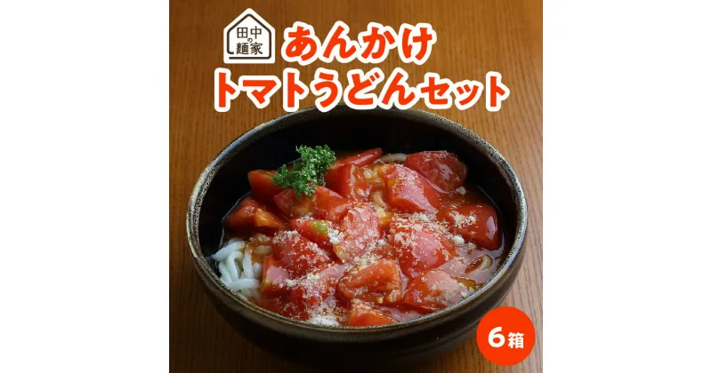 【ふるさと納税】田中の麺家あんかけトマトうどんセット6箱