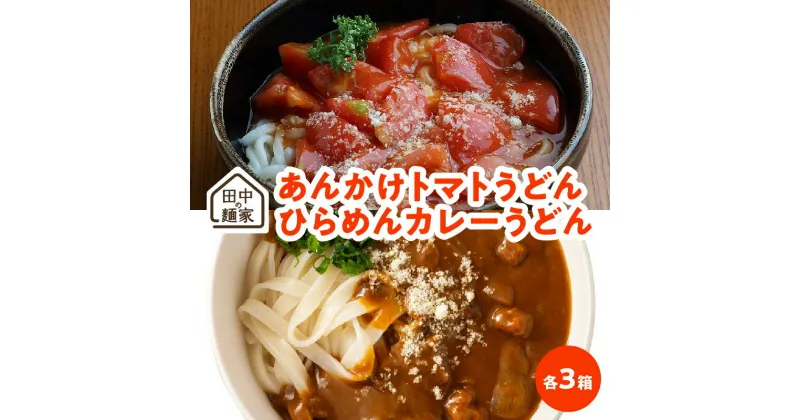 【ふるさと納税】田中の麺家あんかけトマトうどん・ひらめんカレーうどん各3箱