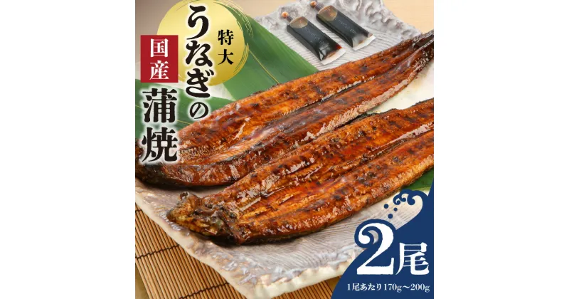 【ふるさと納税】うなぎ 蒲焼 2尾 セット 特大サイズ 一尾170g～200g たれ付き 鰻専門問屋 樋口商店 鹿児島 宮崎 国産 ジャポニカ種 真空パック ギフト お取り寄せ グルメ うな丼 うな重 ひつまぶし お土産 手土産 贈り物 プレゼント お中元 職人 送料無料