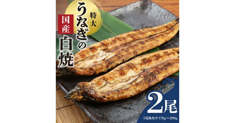 【ふるさと納税】国産 うなぎ 白焼 特大 一尾 170g ～ 200g × 2尾 グルメ うなぎ白焼き 食品 加工品 魚 魚介類 おかず 惣菜 ご飯のお供 酒の肴 冷凍 パック 樋口商店 福岡県 久留米市 お取り寄せ お取り寄せグルメ 送料無料