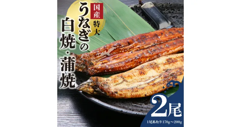 【ふるさと納税】国産 うなぎ 白焼 蒲焼 セット 特大 一尾 170g～200gずつ 食べ比べ グルメ 食品 加工品 魚 魚介類 おかず 惣菜 ご飯のお供 酒の肴 冷凍 パック 樋口商店 うなぎ白焼き 福岡県 久留米市 お取り寄せ お取り寄せグルメ 送料無料