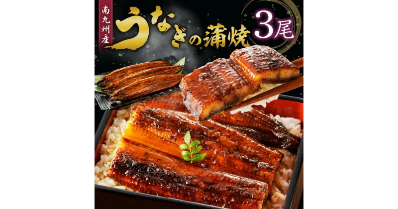 【ふるさと納税】うなぎの蒲焼き3尾セット