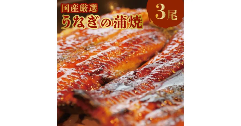 【ふるさと納税】国産 厳選 うなぎ 蒲焼 約 250g × 3 たれ付 そう馬 グルメ 食品 加工品 魚 魚介類 おかず 惣菜 ご飯のお供 酒の肴 うな丼 ひつまぶし お茶漬け 鰻巻き 冷凍 福岡県 久留米市 お取り寄せ お取り寄せグルメ 送料無料