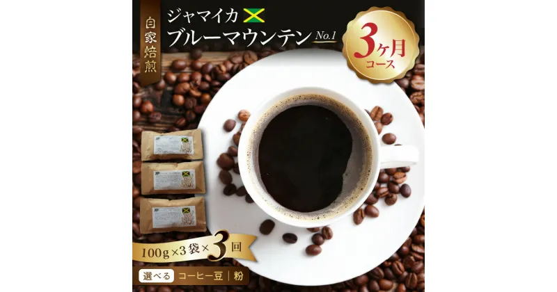 【ふるさと納税】毎月届く コーヒー 珈琲の王様 ブルーマウンテン 300g 豆 粉 コース 3ヶ月コース 100g × 3