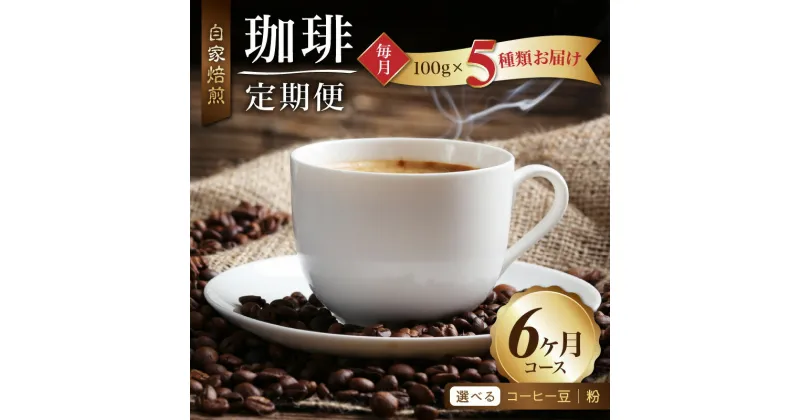 【ふるさと納税】毎月届く！コーヒー500g 定期便6ヶ月コース（100グラム×5）豆コース/粉コース