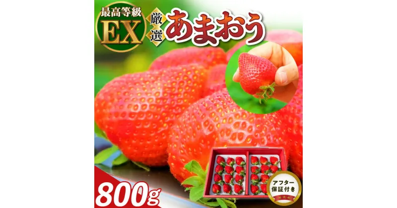 【ふるさと納税】福岡の最高級 あまおう 厳選 800g 採れたて いちご 最高等級 エクセレント 最高級 グレード 大きい 赤い 艶 畑の宝石 特別栽培 食べごろイチゴ 福岡県 久留米市 フルーツ 贈答用 ギフト 農家から直送 取り寄せ 送料無料