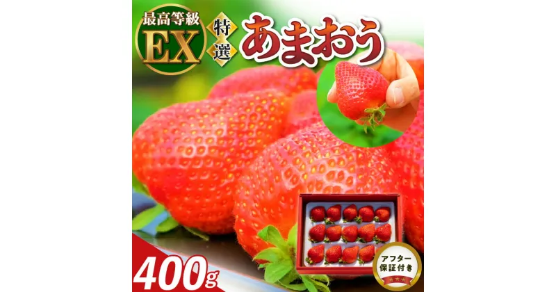 【ふるさと納税】数量限定 厳選 あまおう 400g 特別栽培 いちご エクセレント EX 認定農家 大きい うるう農園 福岡県 久留米市 採れたて 農家直送 フルーツ 果物 冷蔵 贈答用 一粒 丁寧な梱包 贈り物 お歳暮 お取り寄せ 送料無料