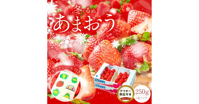 【ふるさと納税】冬くるめ あまおう 250g × 4パック 合計 1kg 冷蔵 苺本来の味 濃厚 甘い 果汁 アフター保証 安心安全 国産 いちご 果物 アレンジ おやつ お菓子 タルト クッキー フルーツ スイーツ スムージー ジャム 南国フルーツ お取り寄せ 福岡県 久留米市 送料無料