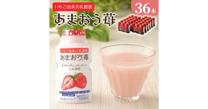 【ふるさと納税】乳酸菌あまおう苺3P