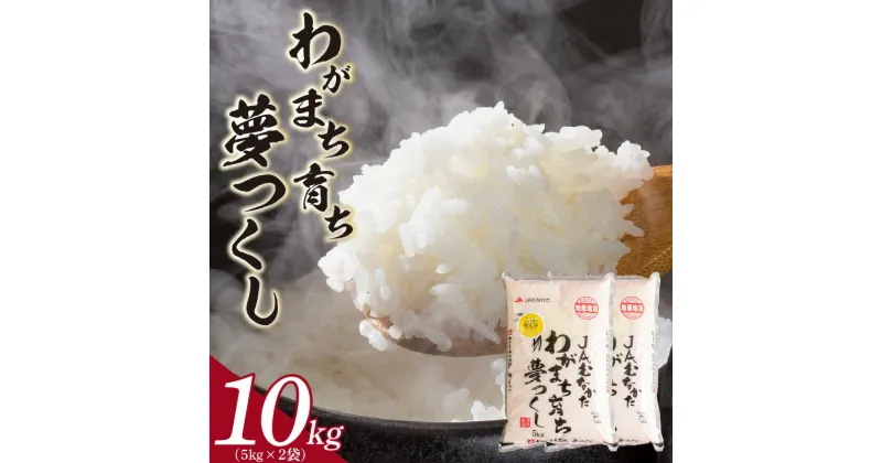 【ふるさと納税】【令和6年産 新米】米 お米 精米 福岡 限定生産 夢つくし 10kg 5kg×2 白米 ご飯 おにぎり 食品 ふっくら 甘い 粒がしっかり 南国フルーツ株式会社 お取り寄せ お取り寄せグルメ 福岡県 久留米市 送料無料