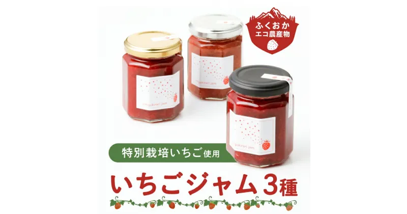 【ふるさと納税】いちごジャム3種セット(特別栽培いちご使用)