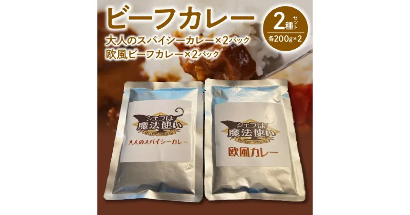 【ふるさと納税】ビーフカレー 2種セット (大人のスパイシーカレー・欧風ビーフカレー) 各200g×2 計800g