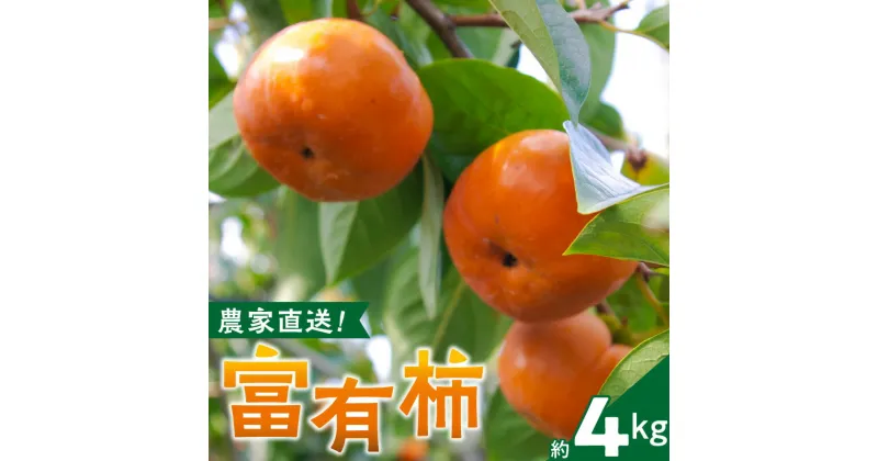 【ふるさと納税】農園直送！富有柿 約4kg