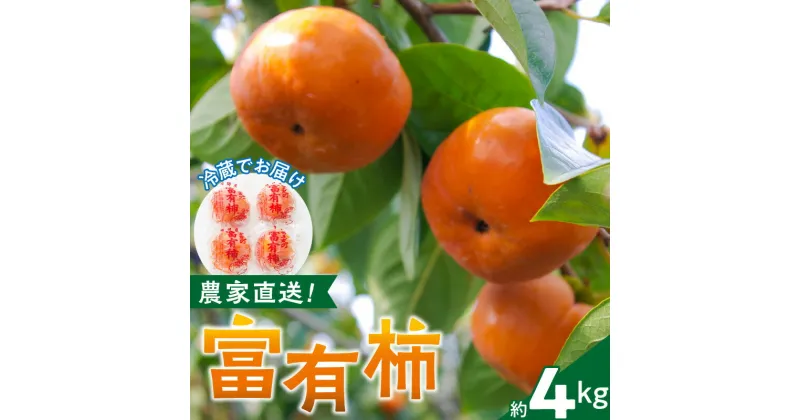 【ふるさと納税】農園直送！富有柿　約4kg（冷蔵）