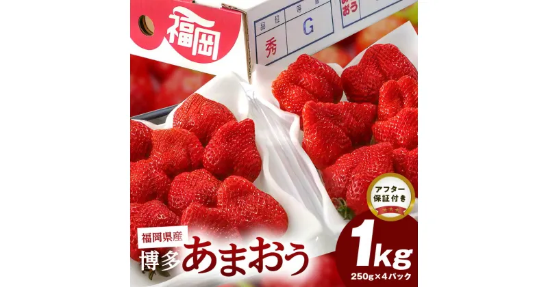 【ふるさと納税】【先行予約】福岡県産 博多あまおう 1kg（250g×4パック）