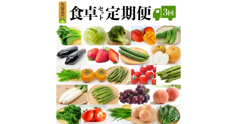 【ふるさと納税】野菜 定期便 3回 食卓セット