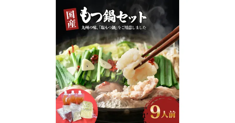 【ふるさと納税】もつ鍋 9人前 900g 牛モツ 国産 ラーメン麺 塩スープ 薬味 セット ダルム屋名物 送料無料