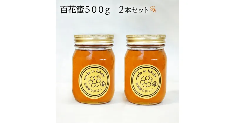 【ふるさと納税】ハチミツ セット 国産 百花蜜 500g 2本 送料無料