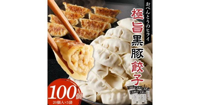 【ふるさと納税】極旨黒豚餃子（23g×20個）×5袋 餃子 100個 三桃食品 おべんとうのヒライ 鹿児島県産 黒豚 肉 豚肉 国産 極旨 黒豚餃子 食品 食べ物 おかず おつまみ 冷凍 簡単調理 カリカリ もっちり 福岡 久留米 お取り寄せ お取り寄せグルメ 送料無料