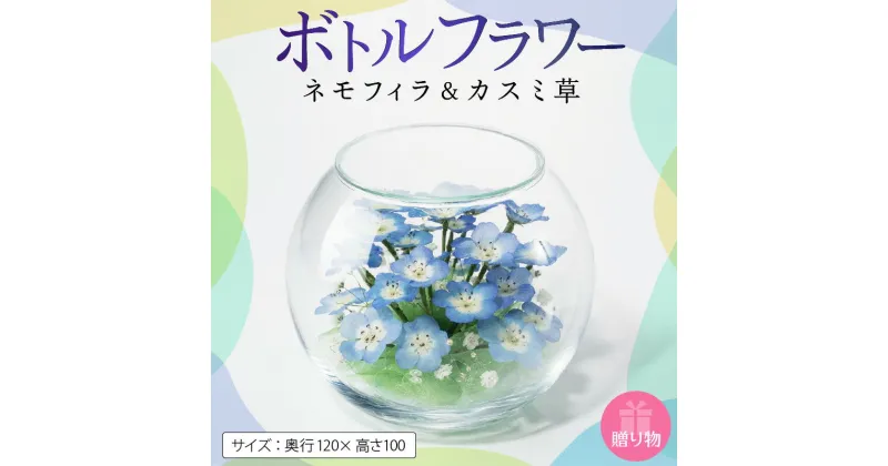 【ふるさと納税】ボトルフラワー ネモフィラ カスミ草 奥行120×高さ100 ドライフラワー ガラス容器 インテリア 雑貨 観賞用 花 フラワー アレンジメント ギフト 贈り物 プレゼント 福岡県 久留米市 お取り寄せ 送料無料