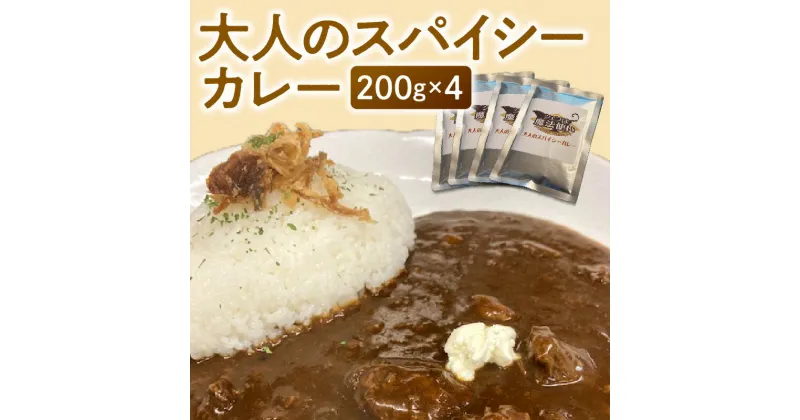 【ふるさと納税】大人のスパイシーカレー200g×4