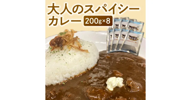 【ふるさと納税】大人のスパイシーカレー200g×8