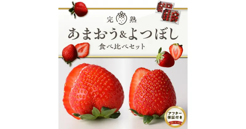 【ふるさと納税】イチゴ あまおう よつぼし 食べ比べ セット 完熟 期間限定 各 250g 2パック 計4パック 計 1kg 特別栽培 エコ農産物 安心 安全 大粒 冷蔵 ゆりかーご 贈り物 フルーツ 果物 スイーツ スムージー ジャム パン 国産 お取り寄せ 福岡県 久留米市 送料無料