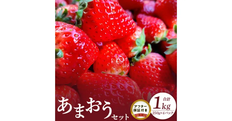 【ふるさと納税】いちご あまおう 250g×4パック セット 果物 フルーツ ストロべリー ふくおかエコ農産物認証制度 永田農園 福岡県 久留米市 お取り寄せ お取り寄せフルーツ 食品 食べ物 おやつ スイーツ スムージー ジャム お菓子作り 送料無料