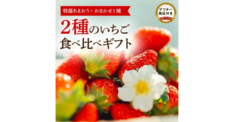 【ふるさと納税】いちご 特選 あまおう 約380g おまかせ 1種 約400g 計2種 食べ比べ 詰合せ ギフト フルトリエ 中村果樹園 発送当日の朝に収穫 新鮮 贈り物 フルーツ 果物 お取り寄せ 冷蔵 ストロベリー パフェ ショートケーキ パンケーキ ジャム 福岡県 久留米市 送料無料