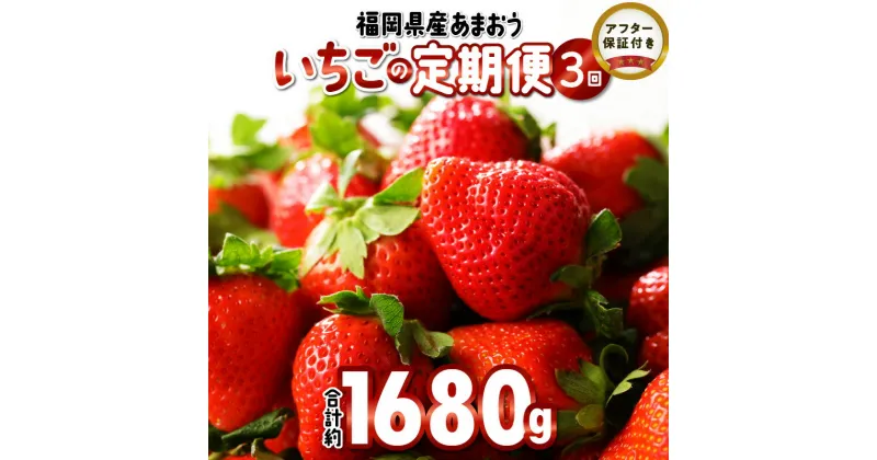 【ふるさと納税】いちご 先行予約 定期便 3回 あまおう 約280g × 2パック 合計 約 1680g 2025年2月より順次発送 イチゴの王様 果汁 栄養 風邪予防 健康 アンチエイジング 美容 福岡県産 果物 フルーツ スイーツ 久留米市 お取り寄せ 送料無料