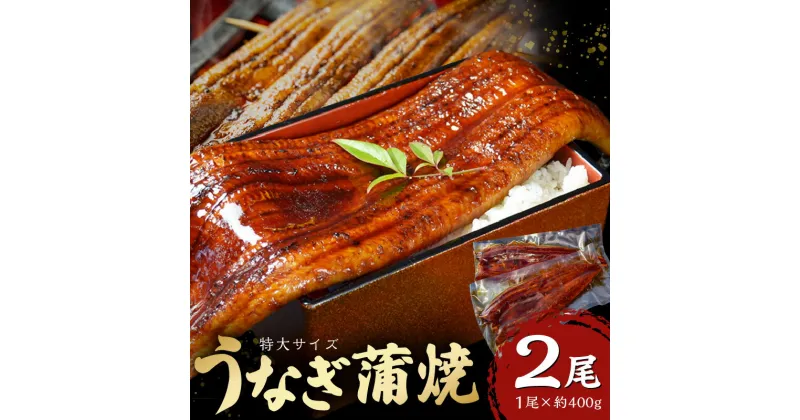 【ふるさと納税】特大 うなぎ 蒲焼 無頭 約 400g 2尾 秘伝のタレ グルメ 食品 加工品 魚 魚介類 おかず 惣菜 ご飯のお供 酒の肴 うな丼 ひつまぶし お茶漬け 鰻巻き 冷凍 パック 太輔商事 福岡県 久留米市 お取り寄せ お取り寄せグルメ 送料無料