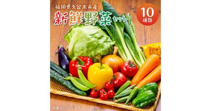 【ふるさと納税】福岡県 久留米市産 新鮮野菜 セット 10品目 旬の野菜 詰め合わせ 新鮮 野菜 水菜 小松菜 ほうれん草 アスパラ キャベツ オクラ レイシ トマト 胡瓜 ニラ 玉葱 インゲン 茄子 春菊 ブロッコリー 大根 久留米市 冷蔵 お取り寄せ 送料無料