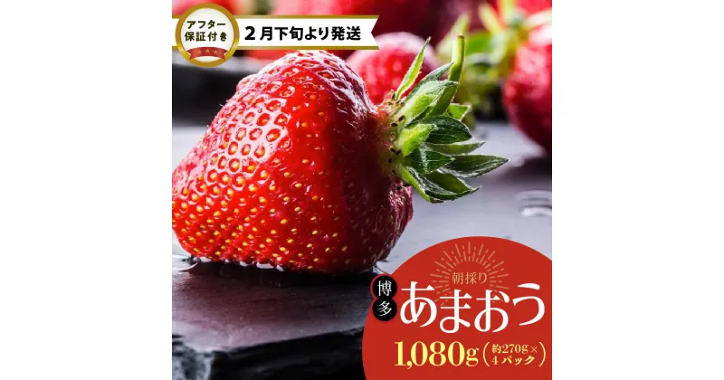 【ふるさと納税】博多 あまおう 約270g × 4パック 朝採り 新鮮 いちご 農家直送 2月下旬より順次発送 冷蔵 苺専用パッケージ 福岡県 久留米市 フルーツ 果物 生食 スイーツ ジュース 贈り物 プレゼント ギフト お取り寄せ 送料無料