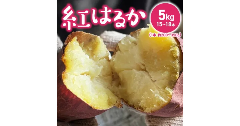 【ふるさと納税】さつまいも 紅はるか 国産 5kg 約 200～350g 15本 ～ 18本 甘い 糖度 高い 高糖度 1ヶ月 熟成 濃厚 味わい しっとり ホクホク 常温発送 宇佐川農園 芋 焼き芋 福岡県 久留米市 お取り寄せ お取り寄せグルメ 野菜 送料無料