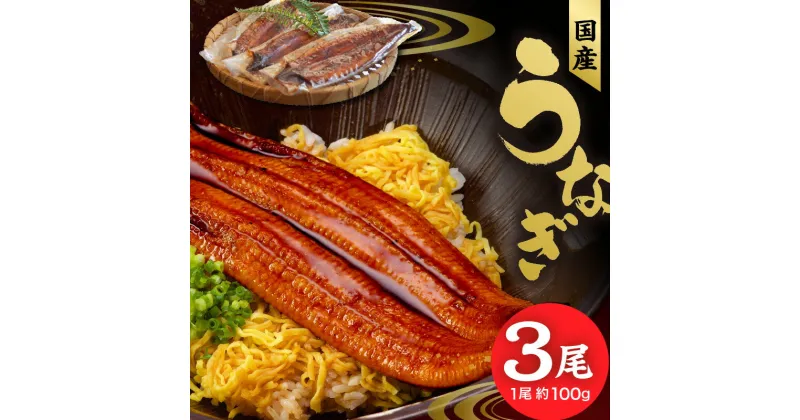 【ふるさと納税】うなぎ 蒲焼 約 100g × 3尾 計約300g 独自 秘伝のタレ 山椒 付き 冷凍 うな丼 うな重 ひつまぶし お土産 ギフト 贈り物 国産 食品 食べ物 柳屋 株式会社 POWER EAST CONNECTION 福岡県 久留米市 お取り寄せ お取り寄せグルメ 送料無料