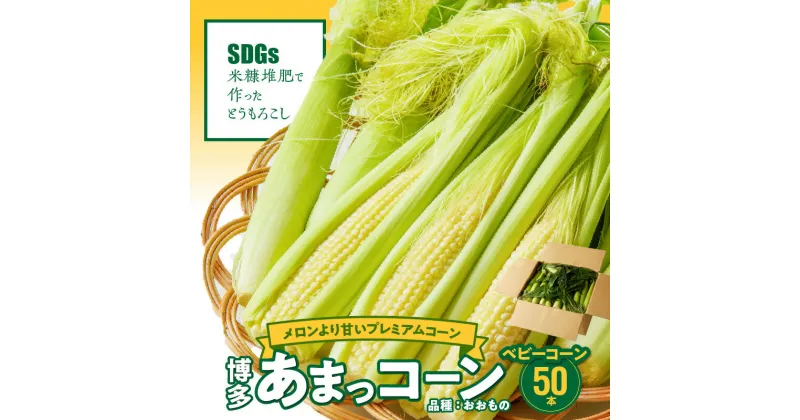 【ふるさと納税】【先行予約】 産地直送 2025年5月より順次出荷 ベビーコーン とうもろこし 博多あまっコーン おおもの 50本 甘い シャキシャキ 食感 旬の味 八宝菜 サラダ 野菜 オーブン焼き お取り寄せ 福岡県 久留米市 送料無料