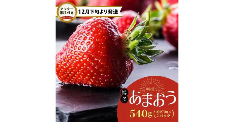 【ふるさと納税】【12月下旬より順次発送】 農家直送 朝採り 新鮮 いちご 博多 あまおう 約 270g×2パック