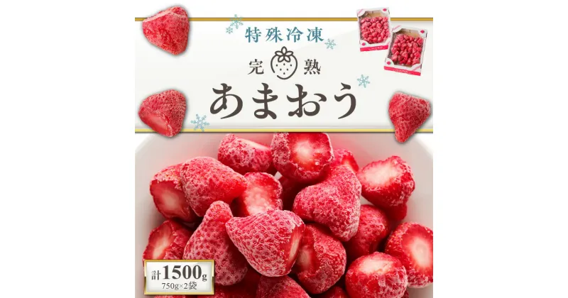 【ふるさと納税】旬のおいしさそのまま！池田農園の特殊冷凍あまおう1.5kg