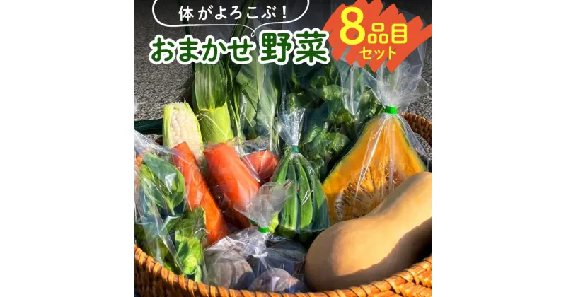 【ふるさと納税】体がよろこぶ 野菜 8品目 セット おまかせ 食べ頃 旬 品種 詰め合せ 新鮮 冷蔵発送 ヤングコーン ピーマン キュウリ オクラ ナス 白ナス ミニトマト かぼちゃ 人参 パクチー ケール 黒キャベツ ブロッコリー お取り寄せ 福岡県 久留米市 送料無料