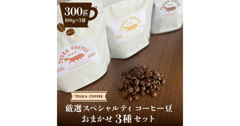 【ふるさと納税】厳選 スペシャルティ コーヒー豆 おまかせ 3種 セット 100g×3 合計 300g 豆 浅煎り 中深煎り 深煎り 世界各地 コーヒー 取り扱う珈琲豆店 オススメの珈琲豆 お取り寄せ 福岡 久留米市 送料無料