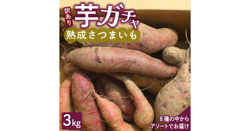 【ふるさと納税】【訳あり】久留米市産 さつまいも 3kg 芋ガチャ 栽培期間中農薬不使用 熟成 甘い 美味しい おやつ スイーツ バラエティ 常温発送 国産 九州 福岡県 久留米市 お取り寄せ お取り寄せグルメ 送料無料