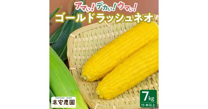 【ふるさと納税】とうもろこし 7kg 15本以上 朝採れ スイートコーン 農家直送 ゴールドラッシュネオ 甘い 1年のうちの1ヶ月しか味わえない まるでフルーツ Sueyasu farm 新鮮 粒皮がやわらかい 末安農園 福岡県 久留米市 お取り寄せ 野菜 送料無料