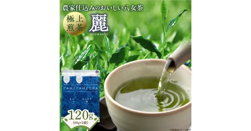 【ふるさと納税】原田茶園　　極上煎茶　麗 120g（60g×2）