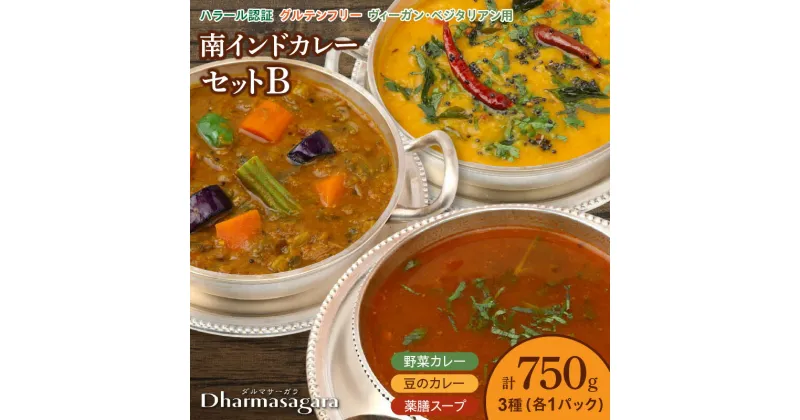 【ふるさと納税】ダルマサーガラ　南インドカレーセットB