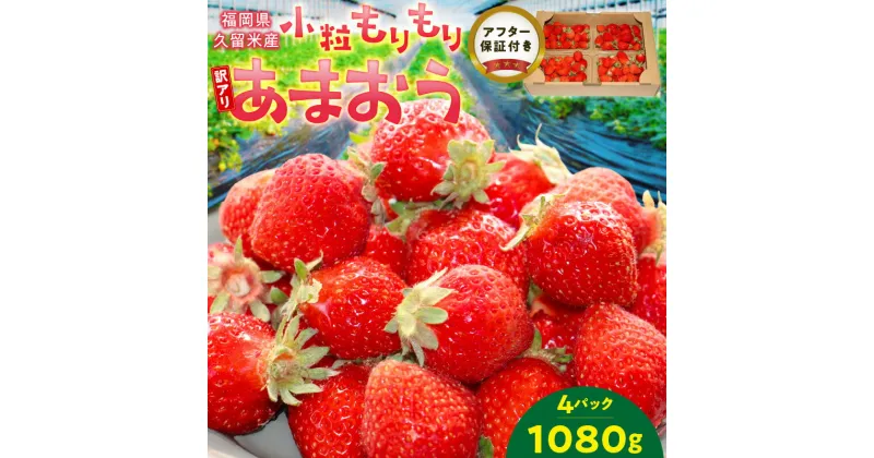 【ふるさと納税】【訳あり】 いちごの王様！【あまおう小粒もりもり】（4パック）1月から発送 1080g 小粒 訳あり 苺 S～Lサイズ スイーツ 果物 デザート あまおう アフター保証 ブランドいちご 贈答 家庭用 冷蔵 直送 久留米市 グルメ お取り寄せ 送料無料