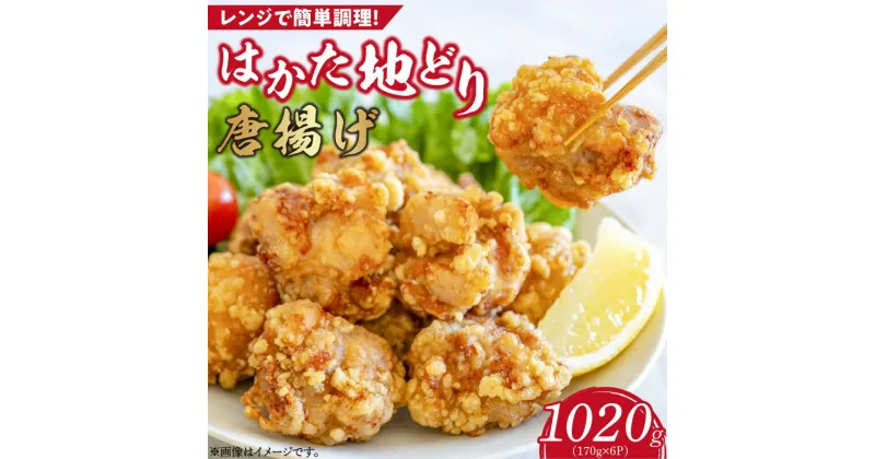 【ふるさと納税】はかた地どり から揚げ 170g × 6パック 計 1020g 福岡県産 地鶏 手間なし 電子レンジ 簡単 調理 おかず おつまみ 鶏肉 肉 加工品 食品 冷凍 グルメ お取り寄せ お取り寄せグルメ 福岡県 久留米市 送料無料