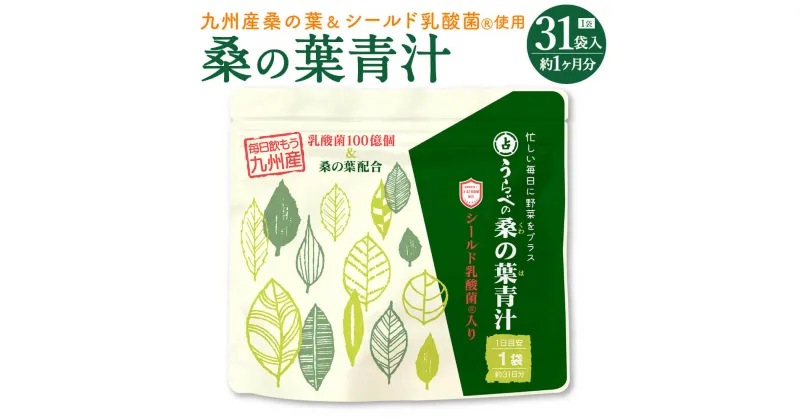 【ふるさと納税】九州産 桑の葉 シールド乳酸菌(R)使用 桑の葉青汁 1袋 31袋入 約1ヶ月分 桑の葉 健康食品 青汁 国産 送料無料