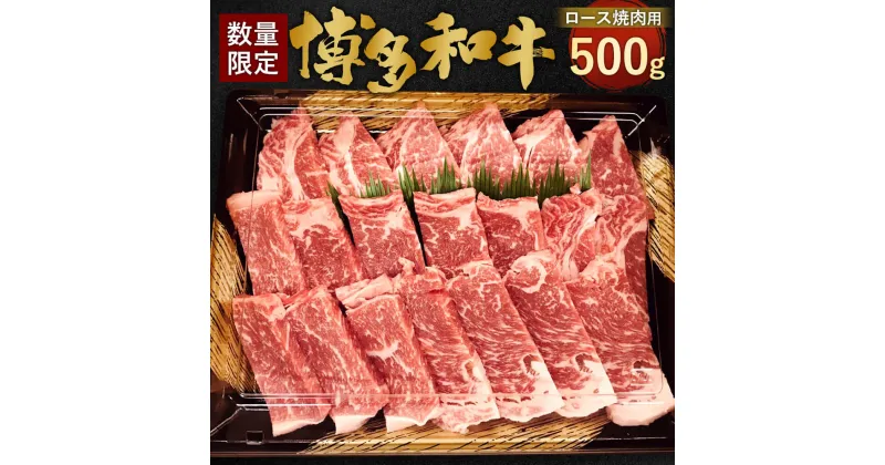 【ふるさと納税】【数量限定 博多和牛】ロース 焼肉用 500g 九州産 福岡県産 リブロース サーロイン お取り寄せ 黒毛和種 和牛 牛肉 国産 BBQ バーベキュー 焼き肉 やき肉 お肉 肉 冷凍 送料無料